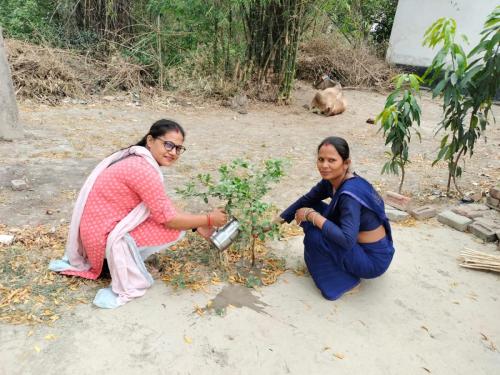 World Environment Day